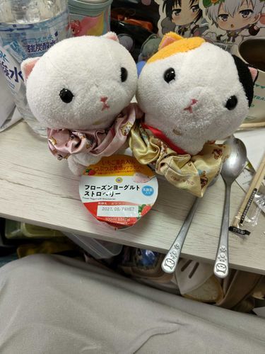 飼い主さんのヨーグルトアイスニャン🐱