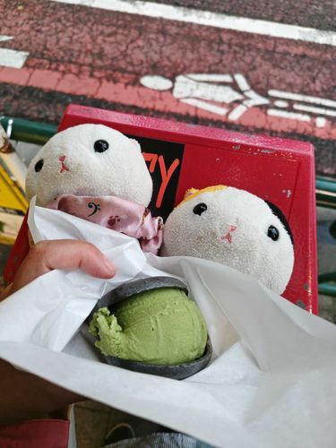 デザートは抹茶モナカ🍨ニャン