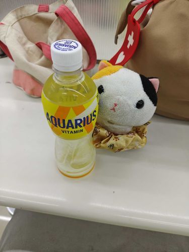 朝のお茶タイム