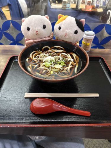 今日の夜ご飯はかけうどん◥█̆̈◤࿉∥ニャン