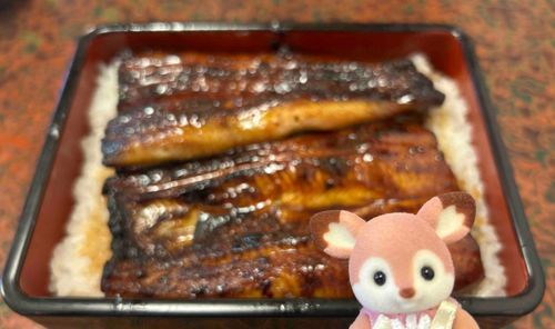 おっきいうなぎ❗️ϵ( 'Θ' )϶