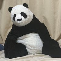 池谷
