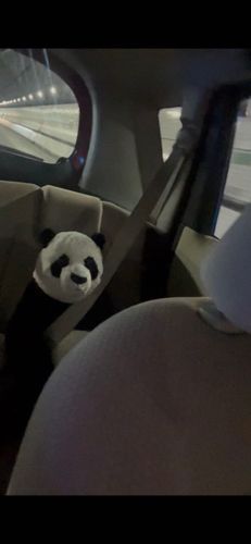 はじめてのドライブ！🐼🚗³₃