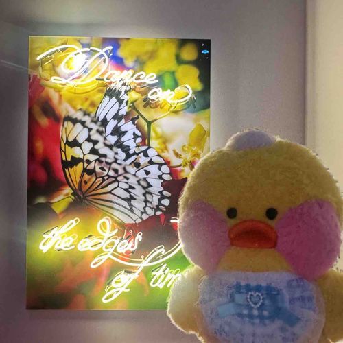蜷川実花🦋