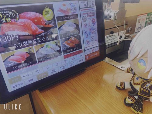 なるほどね、これがおすしね。