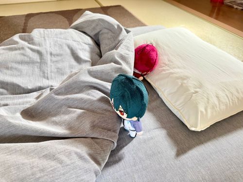 郁弥(布団畳まないと…)
凛(……zz)