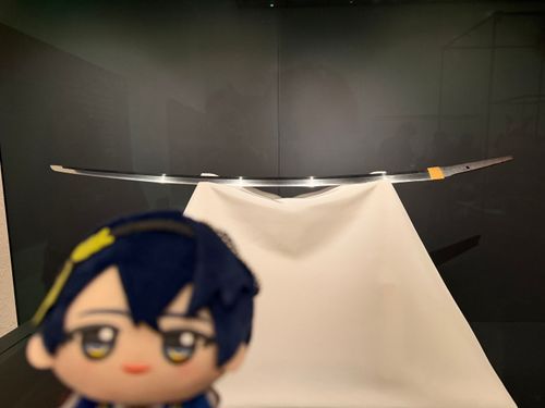 三日月｢主と共に来たぞ。どうだ？主の目にも俺は美しく見えているか？｣