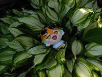 りとまる