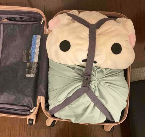 もちこも旅行いきたい
