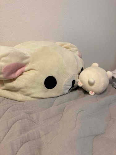 ケツ、近