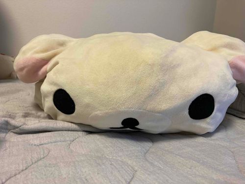 もちこ潰されたけど、元気だから