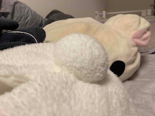うさぎのケツでさ、見えない