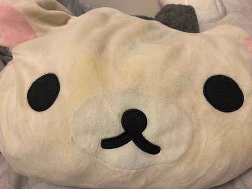 飼い主 元気 だしなよ