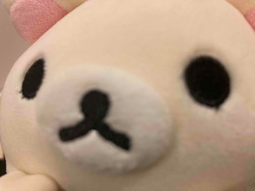 おでかけ きた
