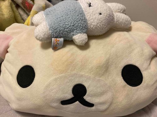 もちこはさ、ふわもこ毎日更新しないといけないの！って打って