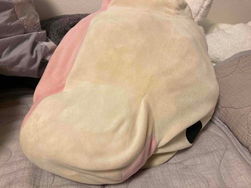 潰された たすけて