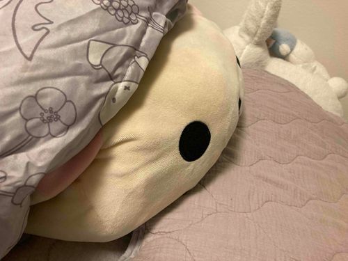 もちこねんねタイム