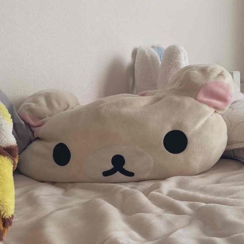 もちこみみはえた