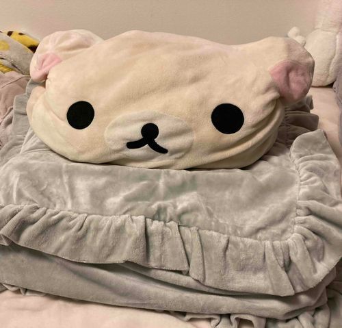 もちこ用のおふとんきたよー