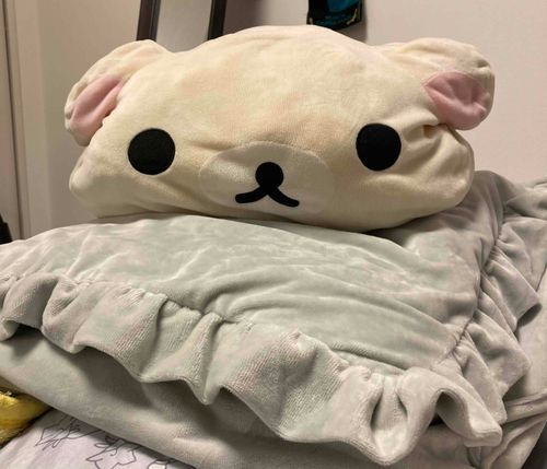 もちこのベッド かってにとらないでね
