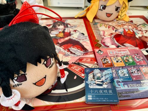 東方の一番くじしてきた！
お目当てのフランぬいは出なかったけど、みんな可愛いのでよし✨