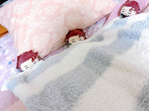 やぬしがちょっとげんきがないみたいです
いカメラをのんで ゲロゲロしてました

はやくねてげんきになってほしいので おれたちでおふとんにもふもふのひざかけをかさねてあげます
あったかくしてげんきになってもらいます

いつもうるさいくらいにげんきなのに きょうはいたいいたいって ぐずぐずしてました
かわいそうです
きょうはみんなでそいねをしてあげます