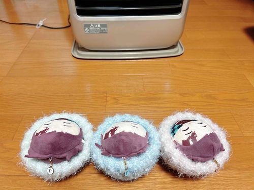 ここのところ さむいひがつづいていやになります

おへやのストーブをつけていても さむさでヒンヤリしてます

もこもこでからだをつつみこんで あたたかくするしかありません
はやくはるにならないかなぁ