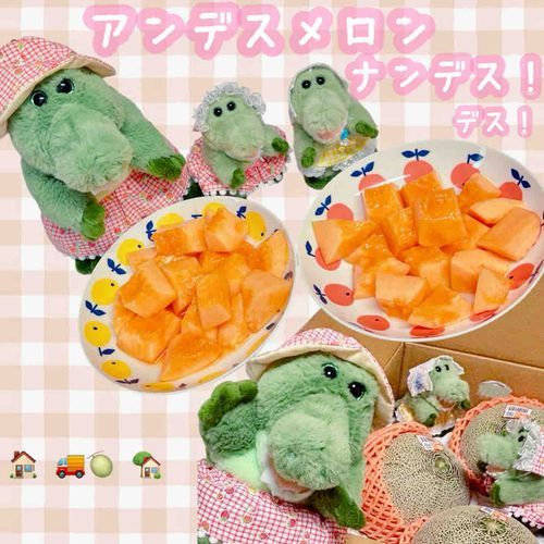 ままの実家からメロンがおくられてきたりぃん！🍈✨️
なんだか毎年違う種類のメロンが選ばれてて今年はあかいメロンだったりぃん！( 'ч' )💓
届いてから1週間待ったかいあって食べ頃だったりぃん！ꉂ(´꒳`  )💪