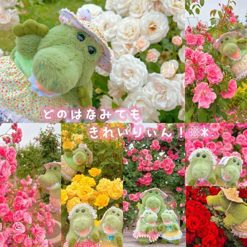 みんなきれいなおはなと おしゃしん撮ってたから
わーりぃんも見に行ってきたりぃん！🌹✨️
いつも 混んでたけど 平日は空いてたりぃん！( ᵒ̴̶̷̤◦ᵒ̴̶̷̤ )🎶