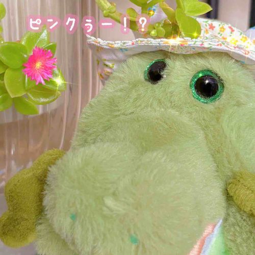 まえに しろい おはなが咲いたベビーサンローズからピンクのおはな咲いたりぃん！❁⃘*.ﾟ🎀💕💓💗
すごいきれいなピンク色りぃん！✨️