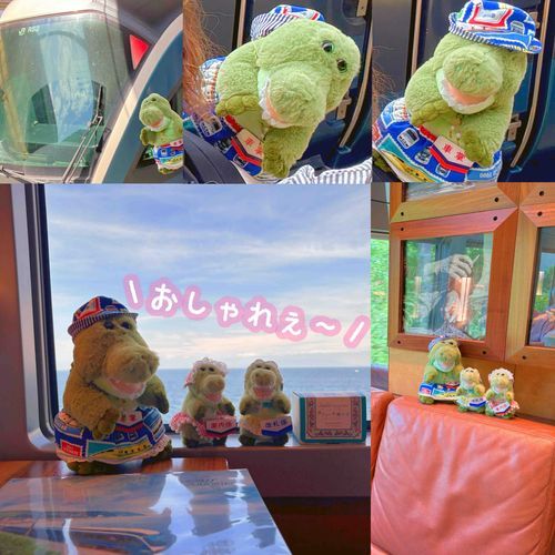 わーりぃん かぞくりょこうで 初めて サフィール踊り子号に 乗ったりぃん！💨
わーりぃんままの父りぃんが 予約取れた時は 大興奮してたりぃん！ꉂ(´ᗜ`*)👏
でんしゃの中に 個室 があって すっごいおしゃれ空間だったりぃん！✨️
りょこうの おしゃしん いっぱい撮ってくれたから また とうこうするりぃん！🌊