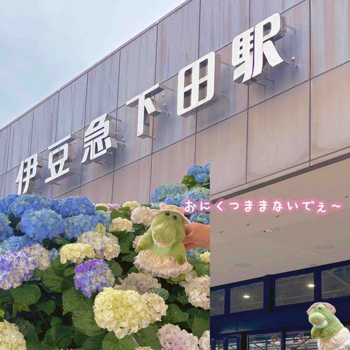 この おしゃしん 撮ってる時 まま 笑ってたな～と思ったら
ぱぱ わーりぃんのせなかのおにく おもいっきり つまんでたりぃん！ꉂꉂ(◍¯∀¯◍)
あじさいさん とってもきれいだったりぃん！💠🌿‬ 