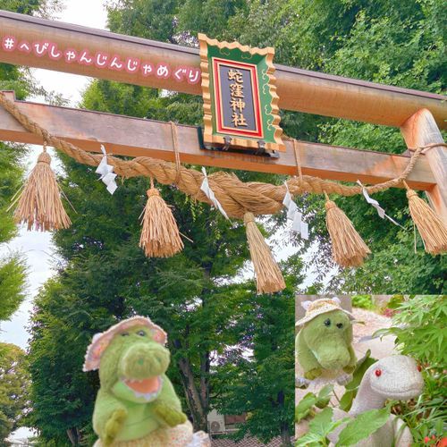 伊豆から東京に行って またへびしゃんめぐりして おまいりしたりぃん！⛩👏
ことしは へびしゃんのとしだから いっぱい いろんなとこ 行ってるみたいりぃん！🐍✨️
