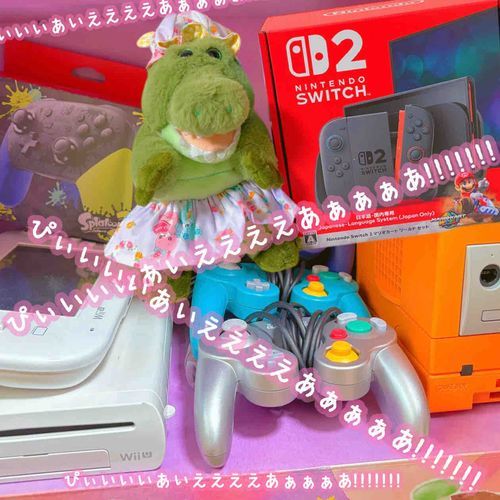 わーりぃん すいっちつー 🎮 ゲットしたりぃん！✨️
わーりぃんのまま 任天堂育ちだから とってもよろこんでたりぃん！ꉂ(´ᗜ`*)🎶