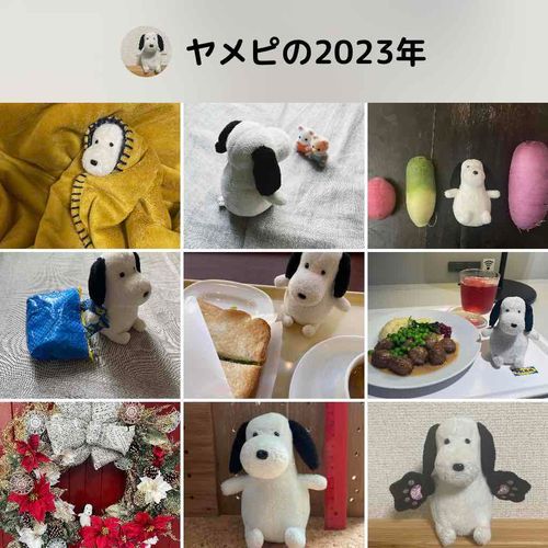 ヤメピもまとめてもらいました。来年もよろしくお願いします。