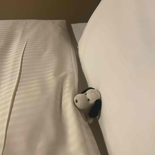 お久しぶりのヤメピです。同居人と旅行に行って来ました。少しずつ写真をアップしたいと思います。