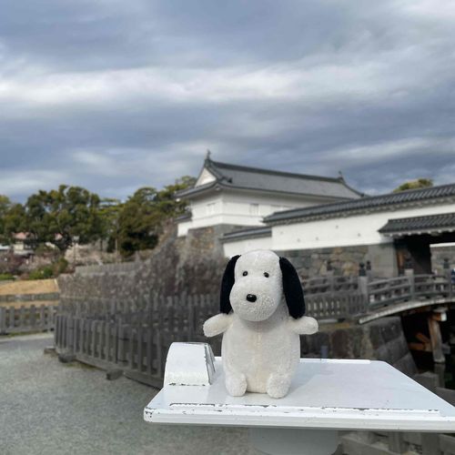 あいにくのお天気