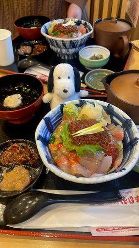 海鮮丼もいただきました。同居人は出かけるといつも海鮮を食べている気がします。