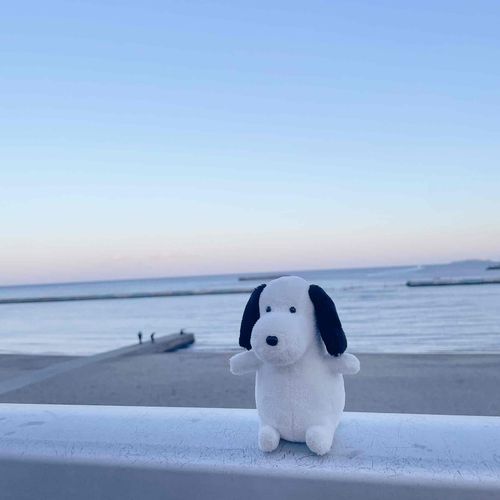 綺麗な夕暮れでした。
ヤメピはここに住みたいです。