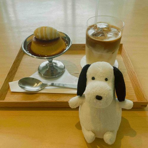 お久しぶりのヤメピです。今日はプリンをいただきました。