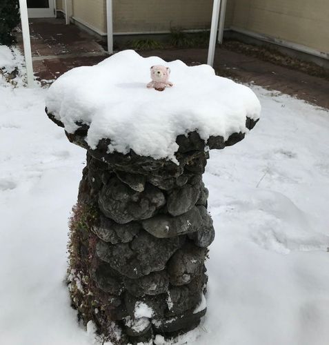 数年前のくまちゃん