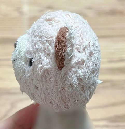 🍘せんべい🍘