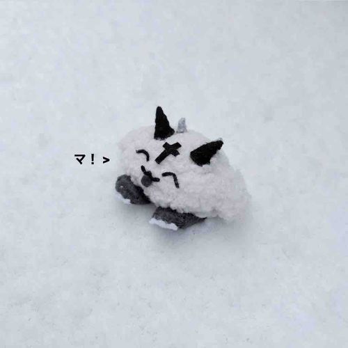 ンゴ！雪積もって、嬉しそやね⋆꙳•̩̩͙❅*̩̩͙‧͙