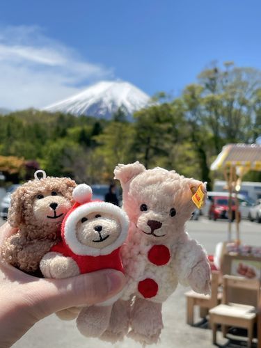 富士山だー🗻