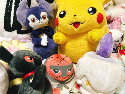 ひさしぶりの更新ですが ナゲキです

こちらでは同期のヒトモシと再会することができ、日々思い出話に花を咲かせています

自分とヒトモシたちがトレーナーと出会った浜松町のポケモンセンターはもう存在しないのだと聞き、時の流れの残酷さを感じるなどしました

増えていた仲間たちとも親睦を深め、この家の留守を守っていきたいものです