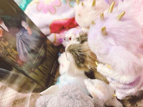 きょうは はなきん！
ぬしの おとももちさんが
しょせいの おにいさん つれてきてくれたのだ
おにいさん たくさんいたら あんしん だし
なにより みんな わくわくなのだ