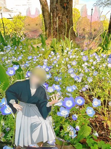 ぬし うさぎつねちゃん ぬき で
しょせいの おにいさんと みた ねもふぃら は
さぞ きれいだた でしょな
うさぎつねちゃんも みたかた なぁー なぁー
おるすばん かなし だた なぁー
