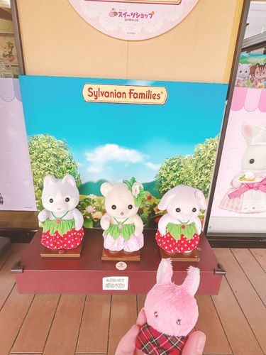 しるばにあちゃんも うさぎつねちゃんも べりべり ぷりち よね
ふわもこの こうこくが ぜんぶ しょせいの おにいさんに なってるのは ぬしの せいなのだ
もう おやのかおより みてるような
うさぎつねちゃんは こうこく ないのだ？