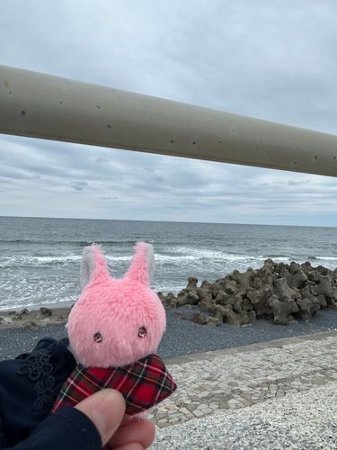 きのうは うみ いった うさぎつねちゃん
うみ はじめて みた
なんか みずが ざばーんと してる ひろい
おさかなやさんみたいな におい してた