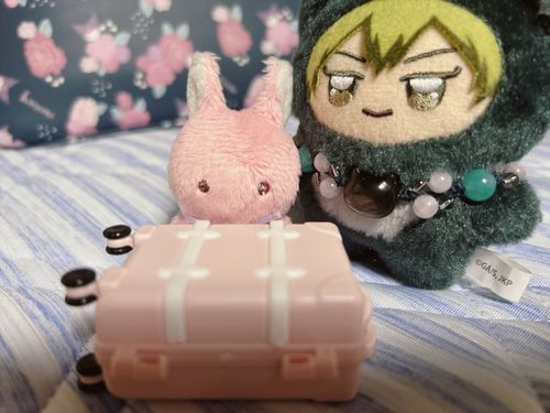 ぬしが うさぎつねちゃんに
おかばん くれたのだ！
うさぎつねちゃんも おひこし じゅんび してね って

およふく なくならぬように
ちゃんと しまったよ
これで ばっちり なのだね

ちみちゃん すごく みてる
あげないよ あげないからね！
